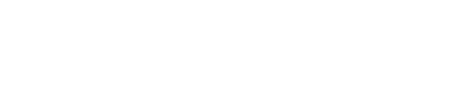 Vizzio